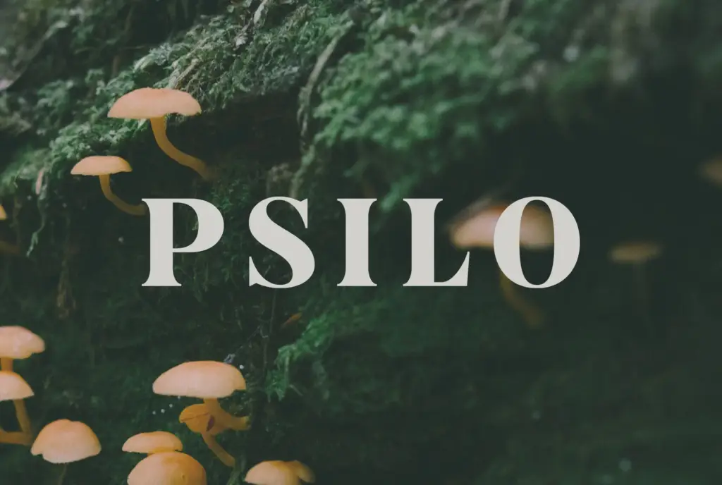 how to get psilo gummies