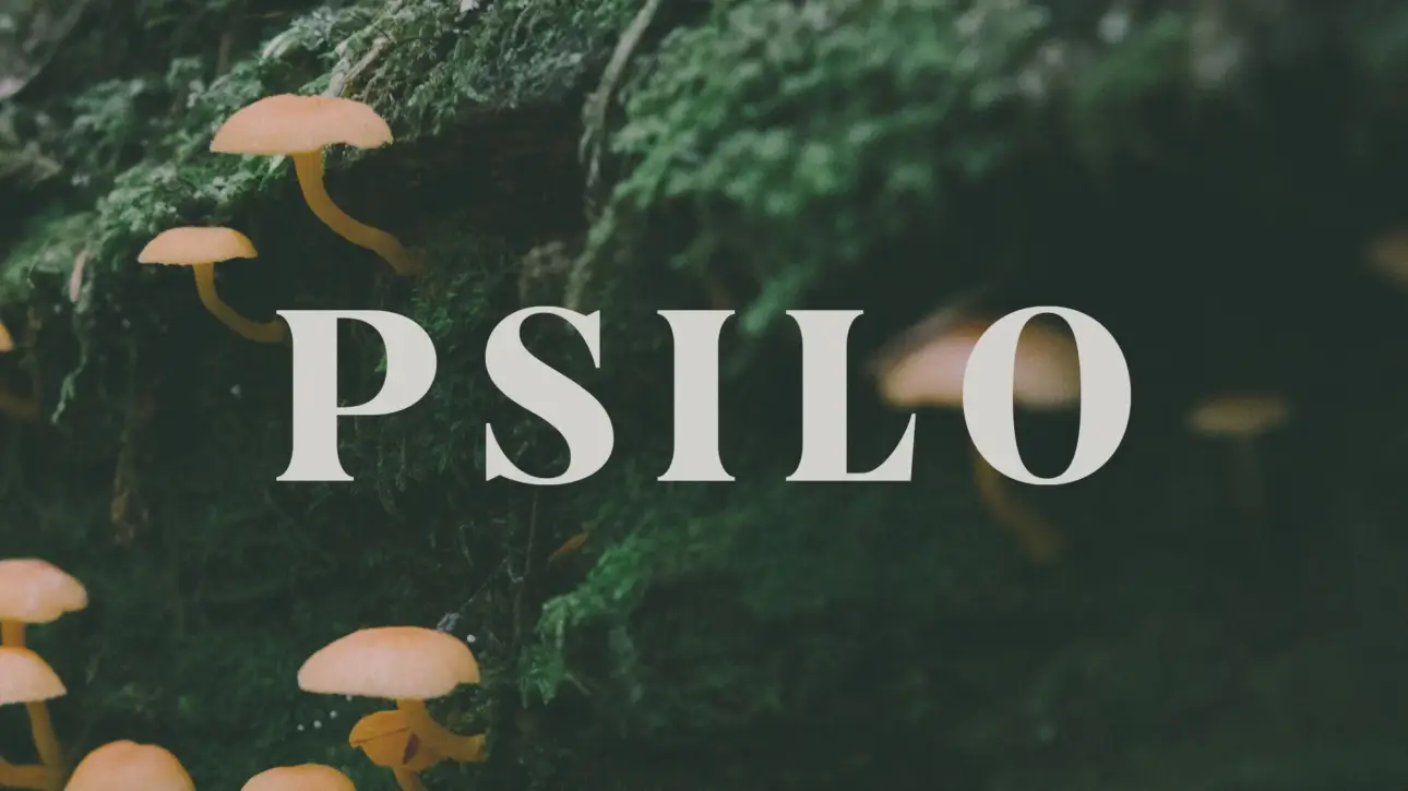 how to get psilo gummies