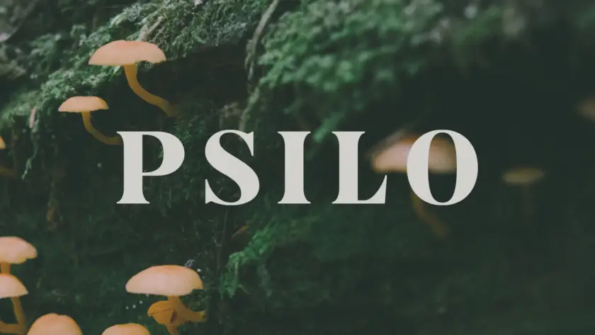 how to get psilo gummies