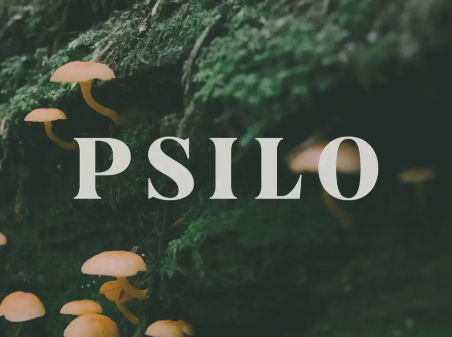 how to get psilo gummies