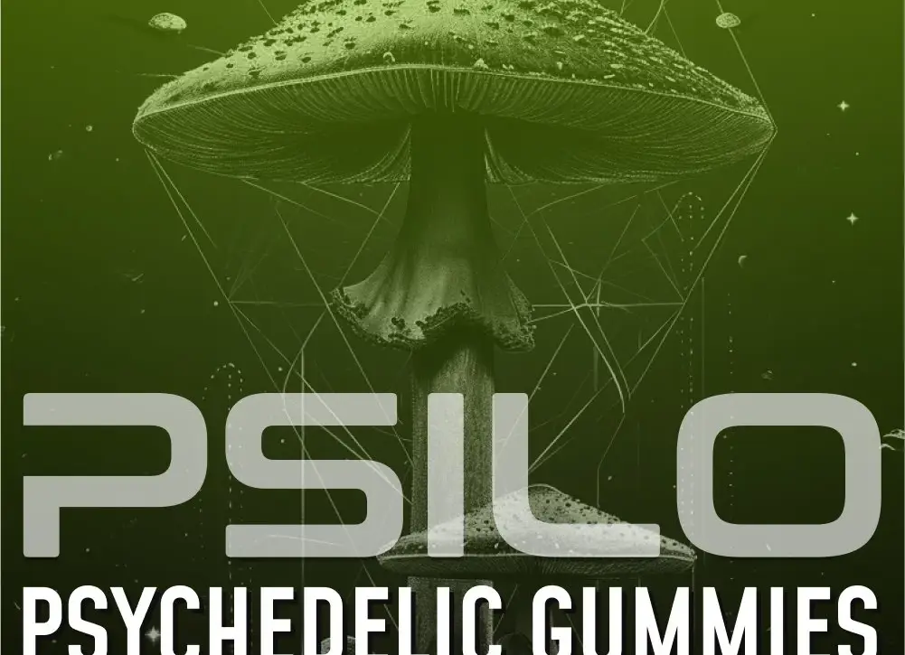 psilo gummies los angeles